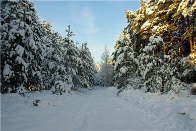 Fami通本周新游评分 《猎天使魔女：起源》获中评